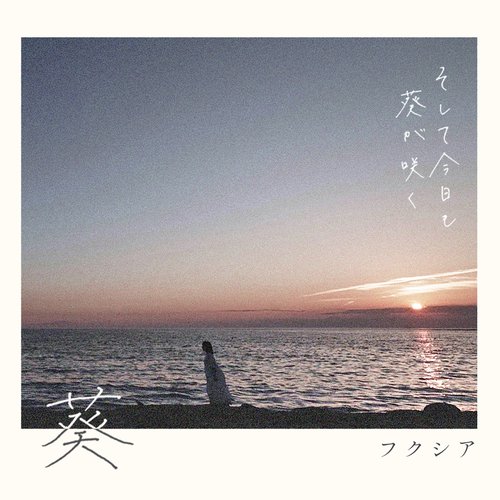 葵