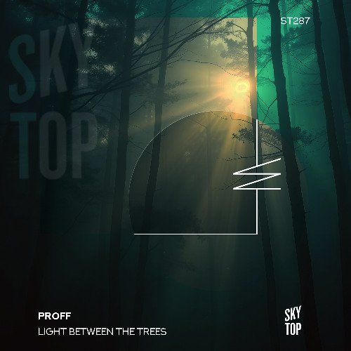 Light Between the Trees