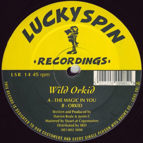 The Magic In You / Orkid