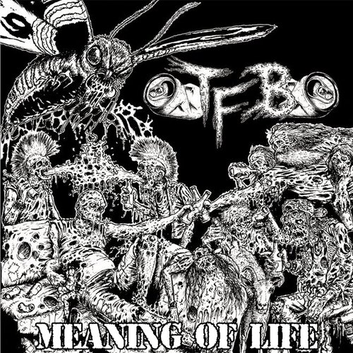 Meaning of Life