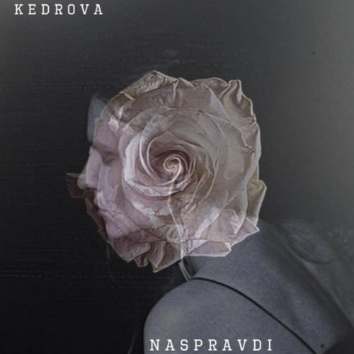 Naspravdi