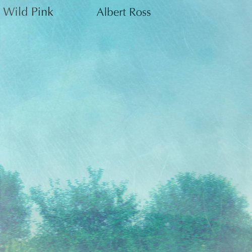 Albert Ross (Acoustic Version)