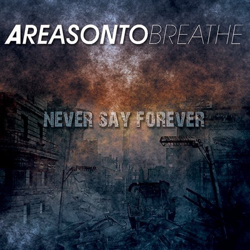 Never Say Forever