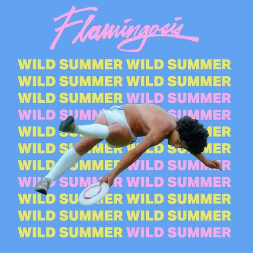 Wild Summer - Single