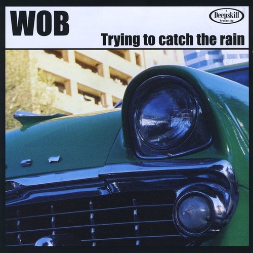 Trying to Catch the Rain