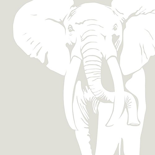 The White Elephant Album