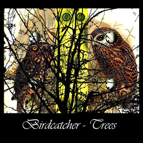 Trees