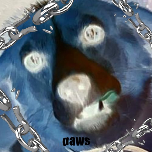 Paws - Single