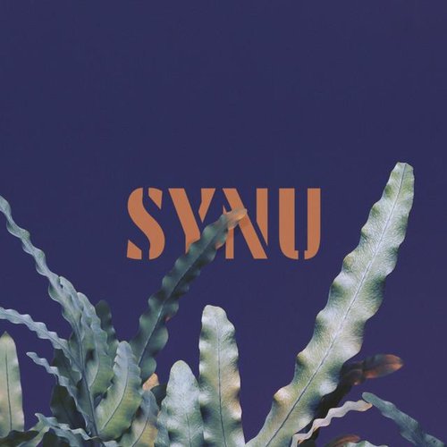 Synu