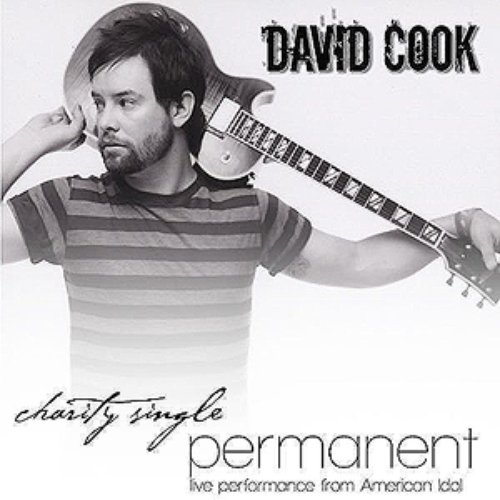 Permanent (American Idol Charity Song)