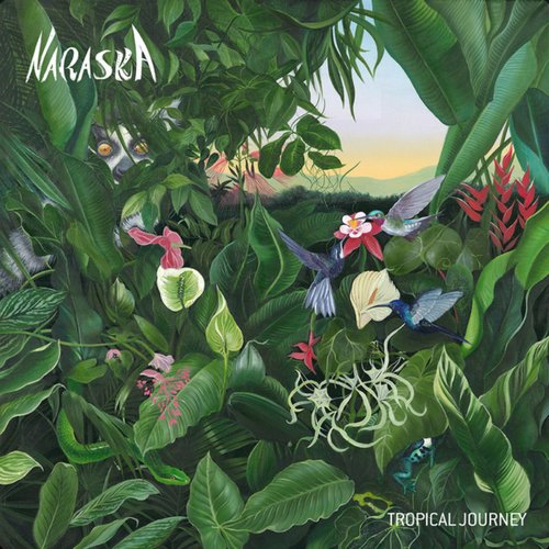 Tropical Journey