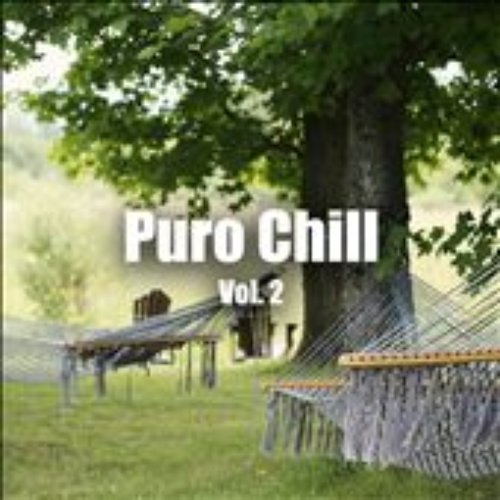 Puro Chill Vol. 2