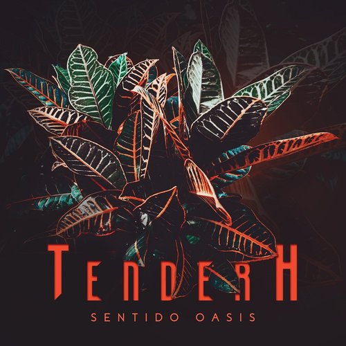 Sentido Oasis