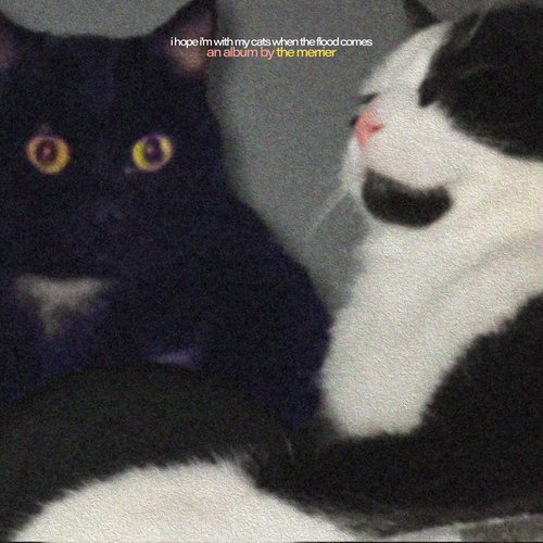 i hope i'm with my cats when the flood comes [Explicit]