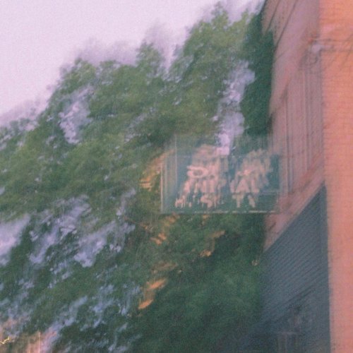 Emergency Vet Bill - EP