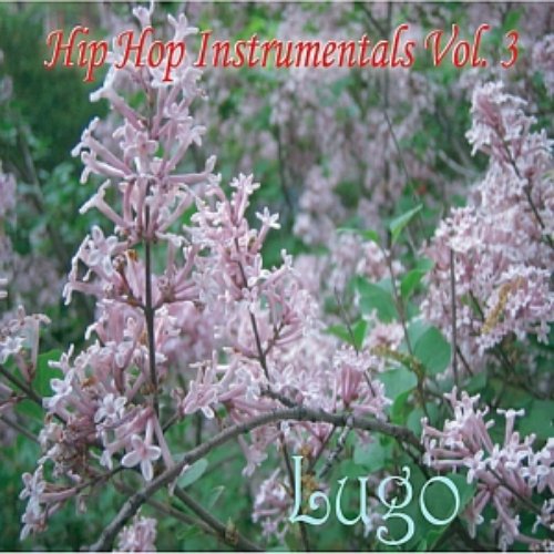 Hip Hop Instrumentals Vol. 3