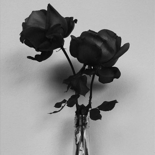 Thinking About You