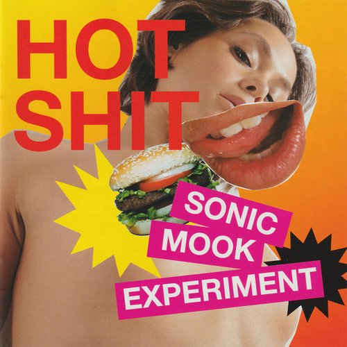 Sonic Mook Experiment 3: Hot Shit
