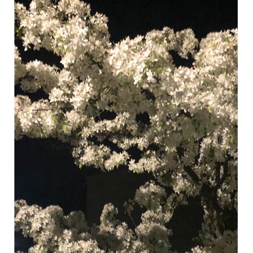 Vents - Single