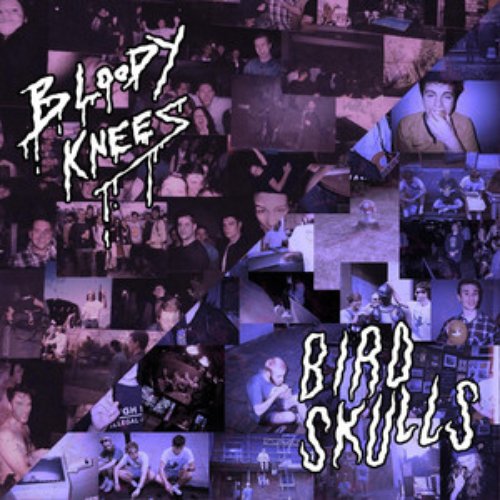 Bloody Knees / Birdskulls Split