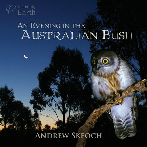 An Evening in the Australian Bush