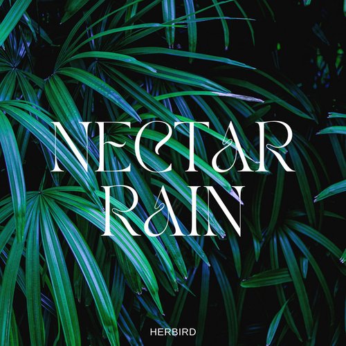 Nectar Rain