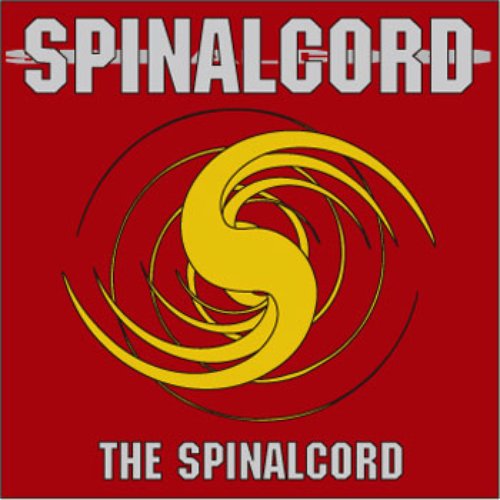 THE SPINALCORD