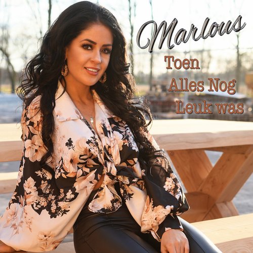 Toen Alles Nog Leuk Was - Single