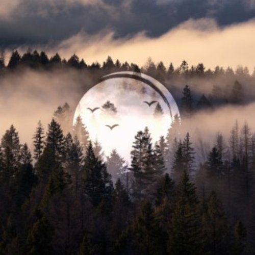 Echoes in the Valley, Vol. 9