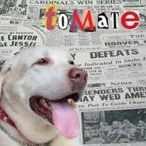 Tomate