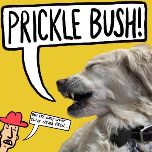 Prickle Bush