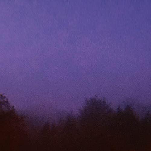 The Night Falls on You