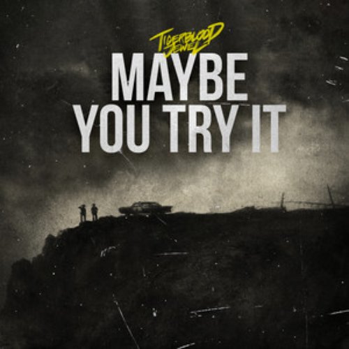 Maybe You Try It - Single