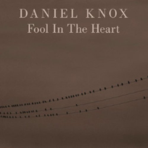 Fool In The Heart