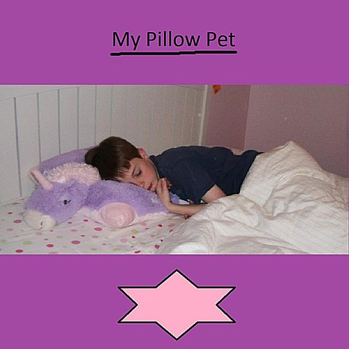 My Pillow Pet