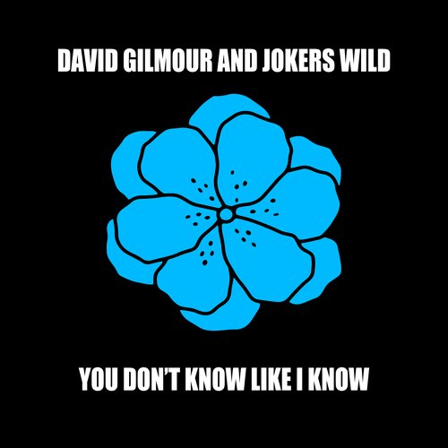 You Don't Know Like I Know (feat. Joker's Wild) - Single