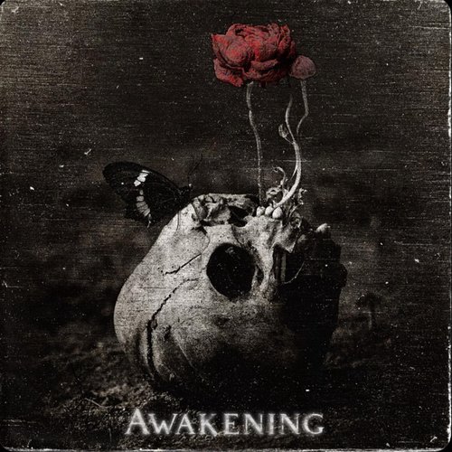 Awakening
