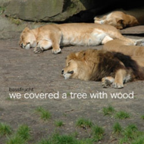 We covered a tree with wood