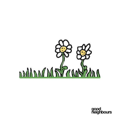 Daisies
