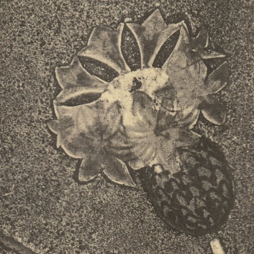 Den Levende - EP