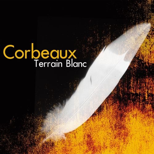 Terrain blanc