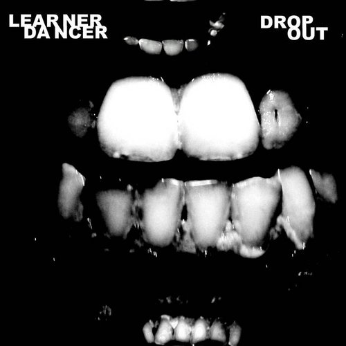 Dropout Redux