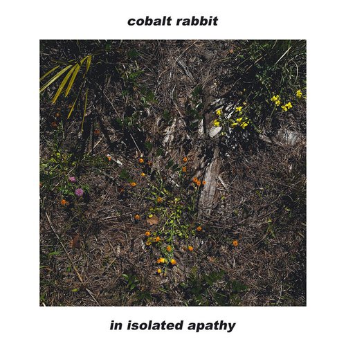 in isolated apathy