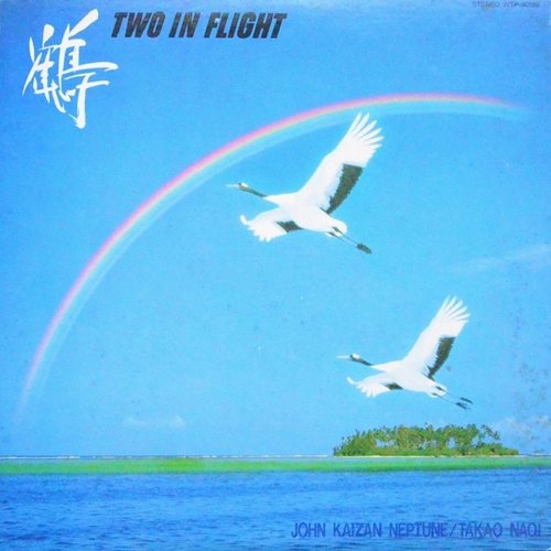 Two In Flight