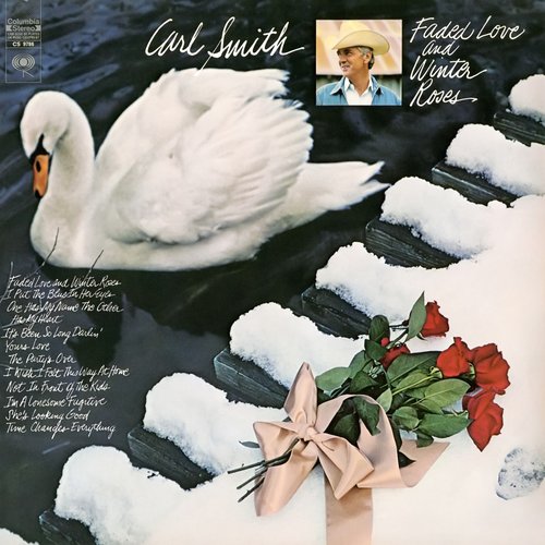 Faded Love And Winter Roses