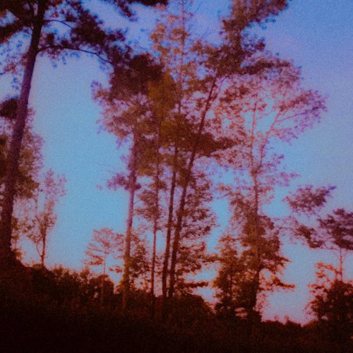 Without Me