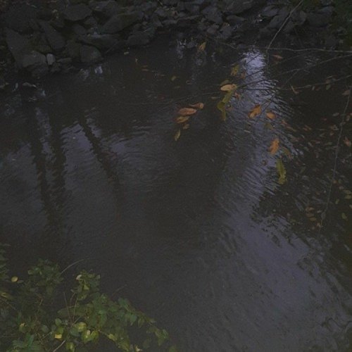 rain on me (remix)