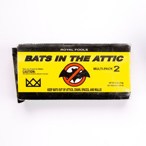 Bats in the Attic