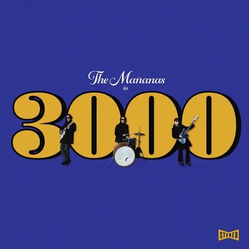 3000