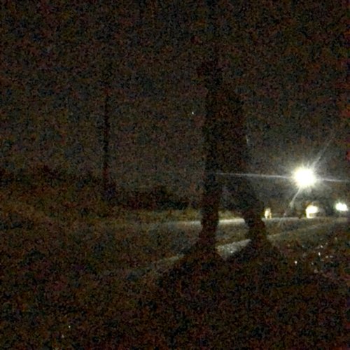 2025年3月 夜の邂逅